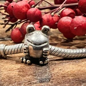 Authentic Pandora Frog Charm Bead Animal Zoo Pet Vintage 790247 Magic Princess